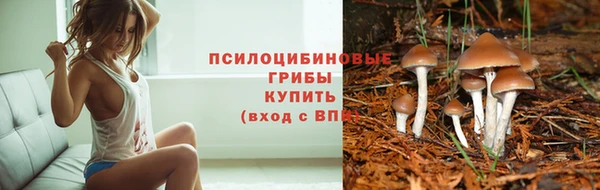 кокаин премиум Алексеевка