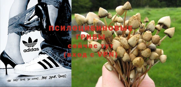 каннабис Алексин